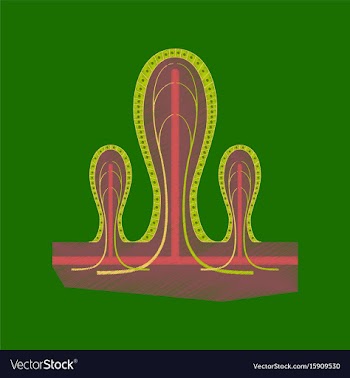 Flat shading style icon intestinal villi vector image