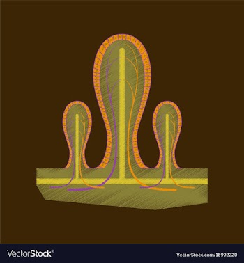 Flat shading style icon intestinal villi vector image