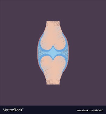 Flat shading style icon joint vector image