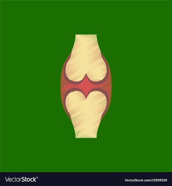 Flat shading style icon joint vector image