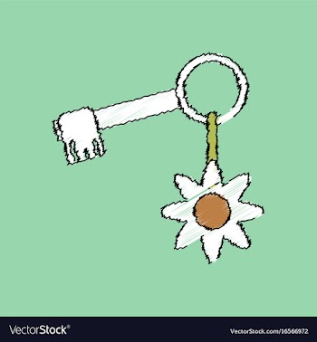 Flat shading style icon key and key fob vector image