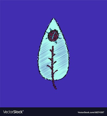 Flat shading style icon leaf and ladybug vector image