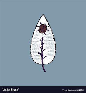 Flat shading style icon leaf and ladybug vector image