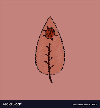 Flat shading style icon leaf and ladybug vector image