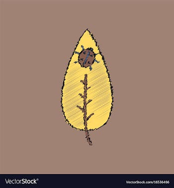 Flat shading style icon leaf and ladybug vector image