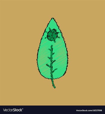 Flat shading style icon leaf and ladybug vector image