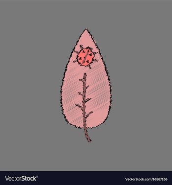 Flat shading style icon leaf and ladybug vector image