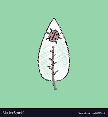 Flat shading style icon leaf and ladybug vector image