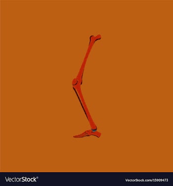 Flat shading style icon leg bone vector image