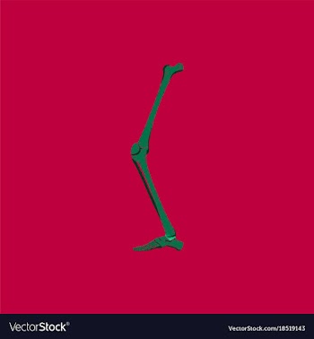 Flat shading style icon leg bone vector image