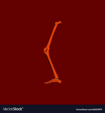 Flat shading style icon leg bone vector image
