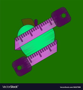 Flat shading style icon logo diet vector image