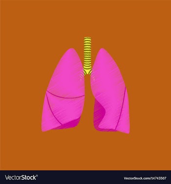 Flat shading style icon lungs and trachea vector image