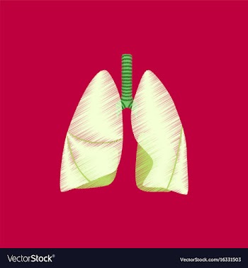 Flat shading style icon lungs and trachea vector image