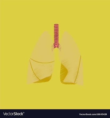 Flat shading style icon lungs and trachea vector image