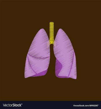 Flat shading style icon lungs and trachea vector image