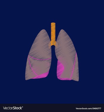 Flat shading style icon lungs and trachea vector image