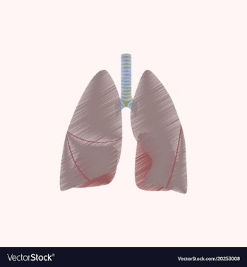 Flat shading style icon lungs and trachea vector image