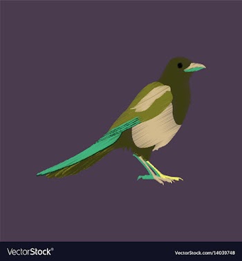 Flat shading style icon magpie vector image