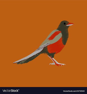 Flat shading style icon magpie vector image