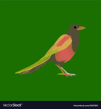Flat shading style icon magpie vector image