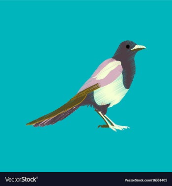 Flat shading style icon magpie vector image