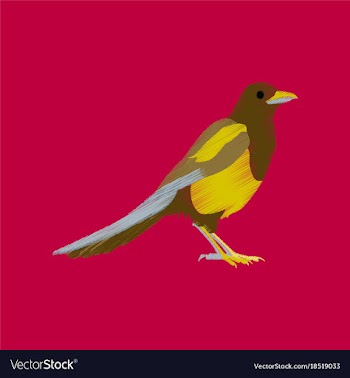 Flat shading style icon magpie vector image