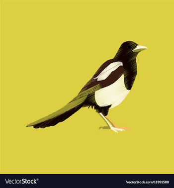 Flat shading style icon magpie vector image