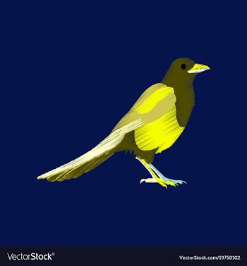 Flat shading style icon magpie vector image