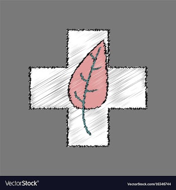 Flat shading style icon medical cross with leaf vector image