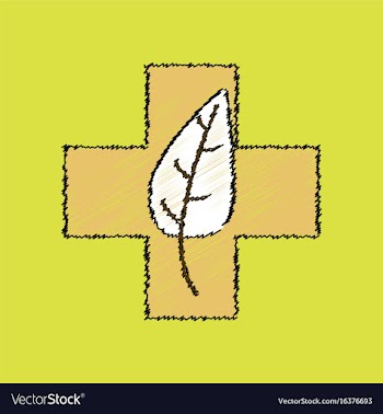 Flat shading style icon medical cross with leaf vector image
