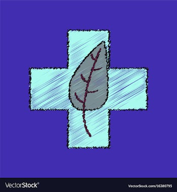 Flat shading style icon medical cross with leaf vector image