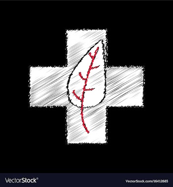 Flat shading style icon medical cross with leaf vector image