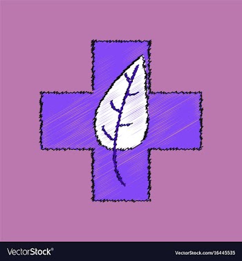 Flat shading style icon medical cross with leaf vector image