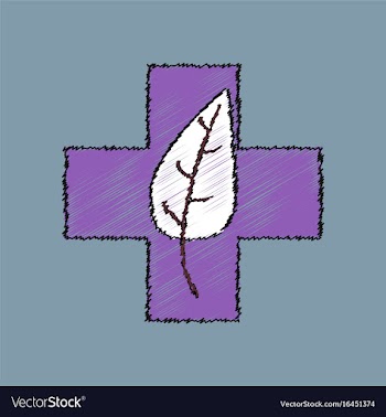 Flat shading style icon medical cross with leaf vector image