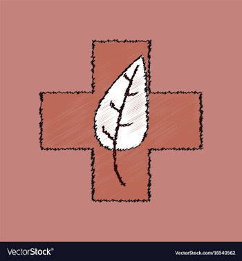Flat shading style icon medical cross with leaf vector image