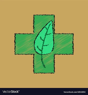 Flat shading style icon medical cross with leaf vector image