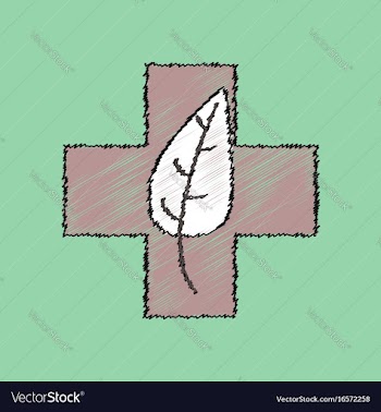 Flat shading style icon medical cross with leaf vector image
