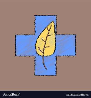 Flat shading style icon medical cross with leaf vector image