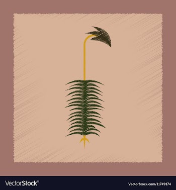 Flat shading style icon nature plant Polytrichum vector image