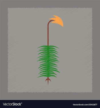 Flat shading style icon nature plant polytrichum vector image