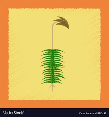 Flat shading style icon nature plant polytrichum vector image