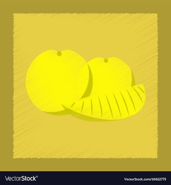 Flat shading style icon orange slice vector image