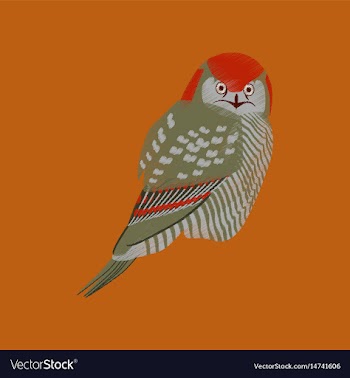 Flat shading style icon owl vector image