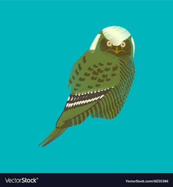 Flat shading style icon owl vector image