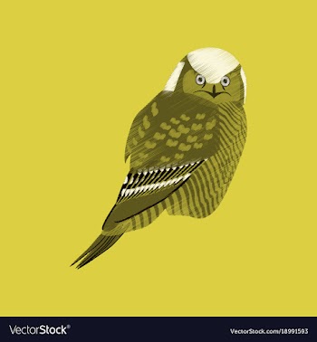 Flat shading style icon owl vector image