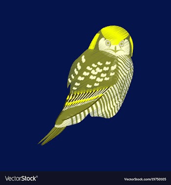 Flat shading style icon owl vector image