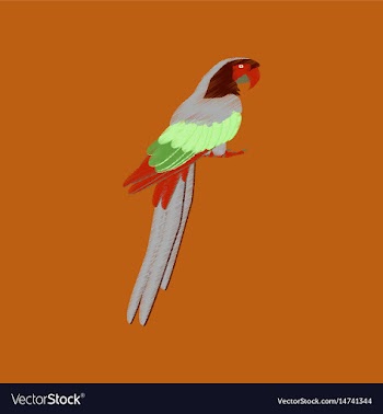 Flat shading style icon parrot vector image