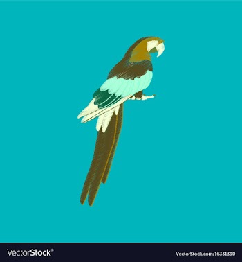 Flat shading style icon parrot vector image
