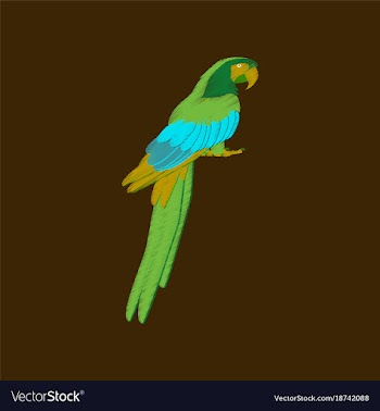 Flat shading style icon parrot vector image